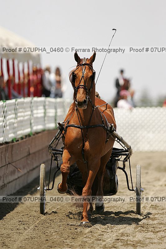 Proof Number 07upha_0460