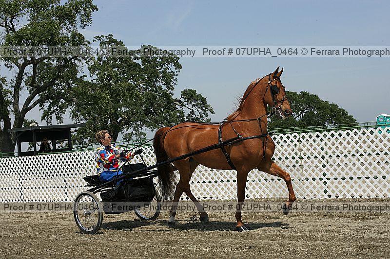 Proof Number 07upha_0464