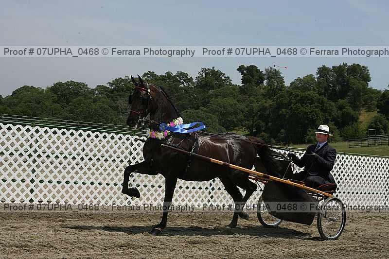 Proof Number 07upha_0468