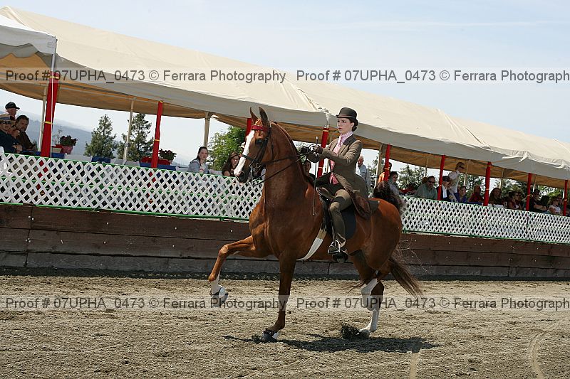Proof Number 07upha_0473