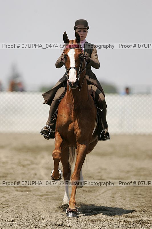 Proof Number 07upha_0474
