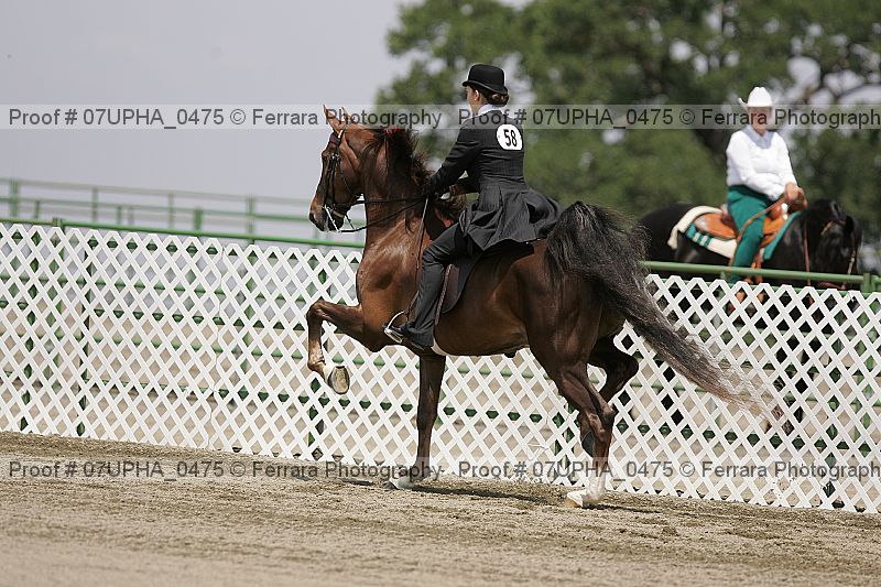 Proof Number 07upha_0475