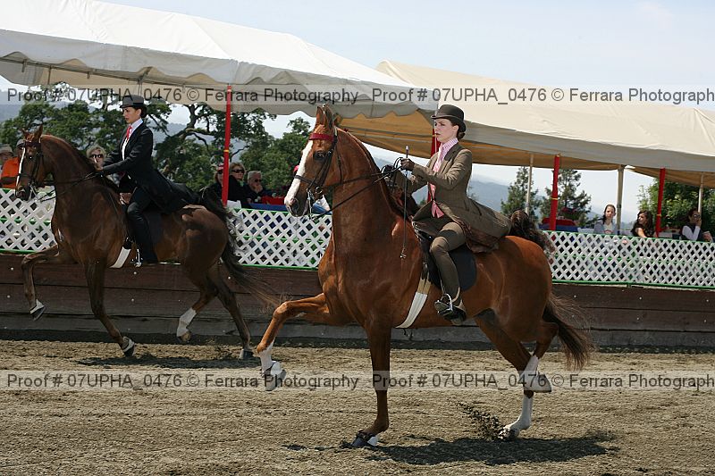 Proof Number 07upha_0476