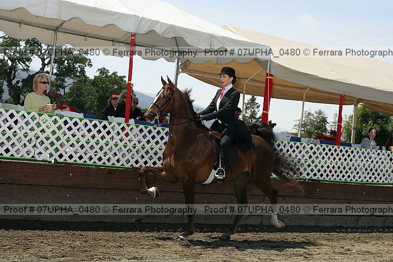 Proof Number 07upha_0480