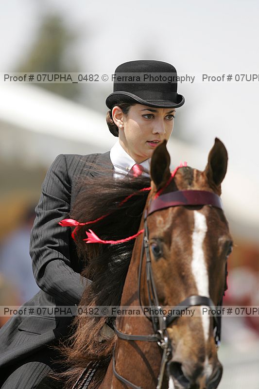 Proof Number 07upha_0482