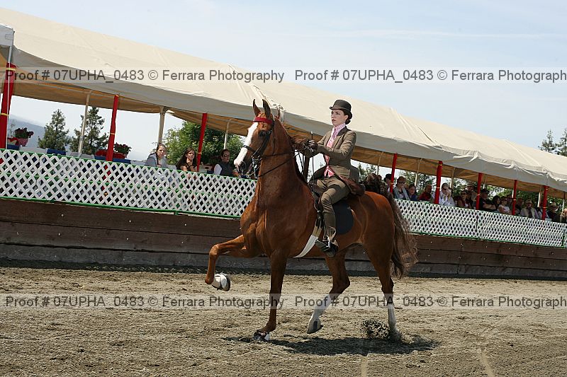 Proof Number 07upha_0483