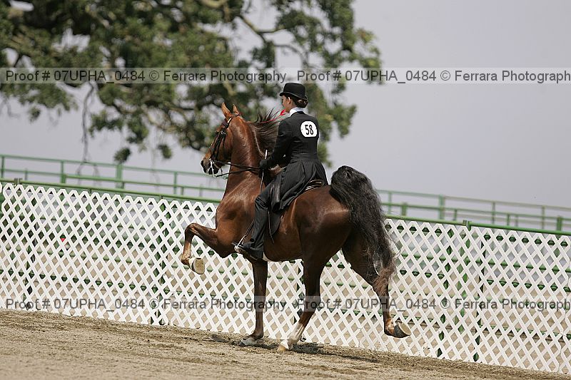 Proof Number 07upha_0484