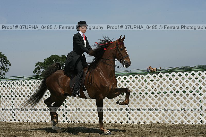 Proof Number 07upha_0485