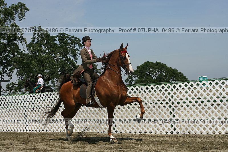 Proof Number 07upha_0486