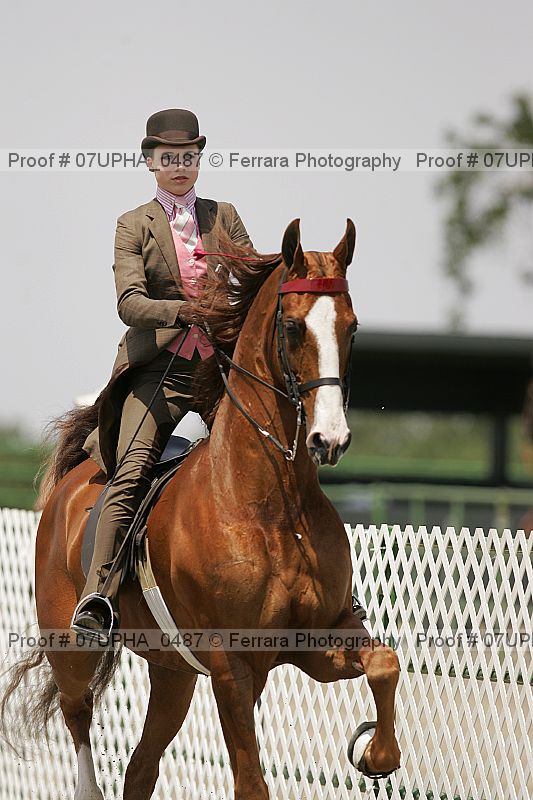 Proof Number 07upha_0487