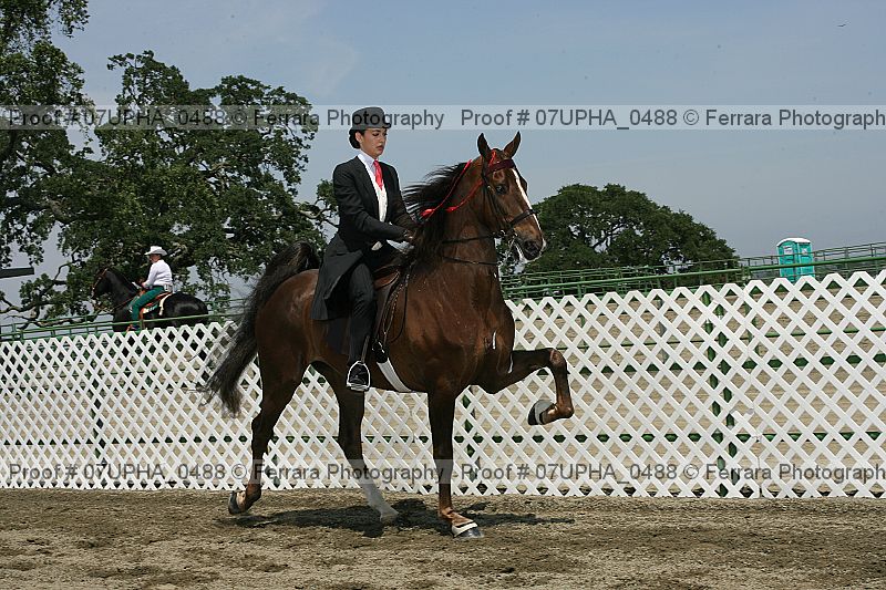 Proof Number 07upha_0488