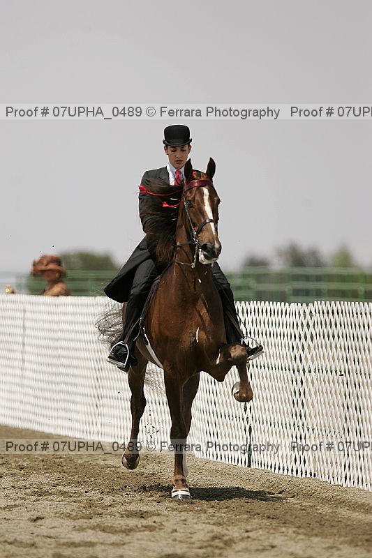 Proof Number 07upha_0489