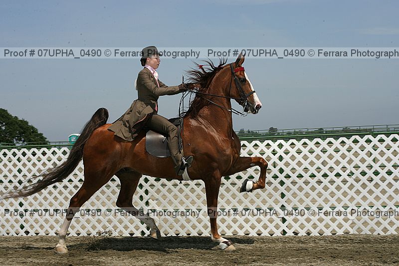 Proof Number 07upha_0490