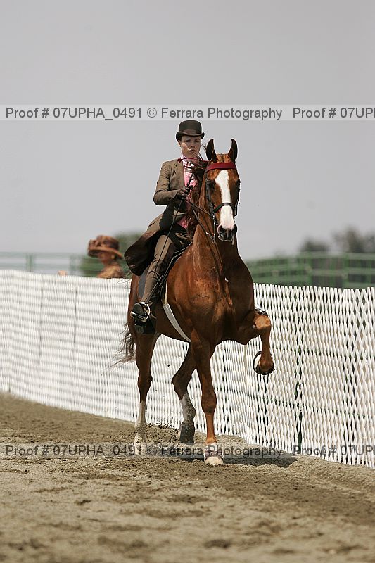 Proof Number 07upha_0491