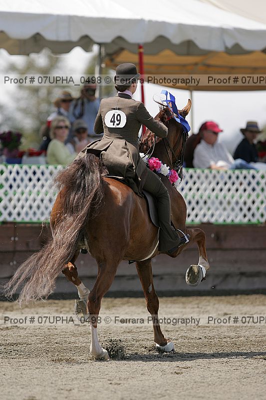 Proof Number 07upha_0498