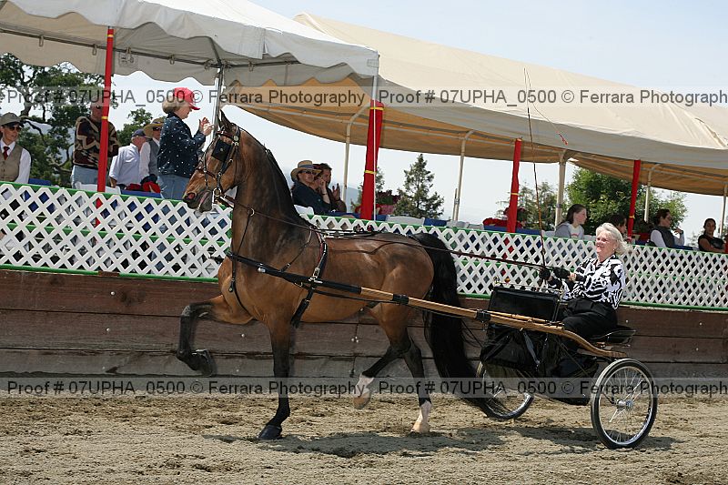 Proof Number 07upha_0500