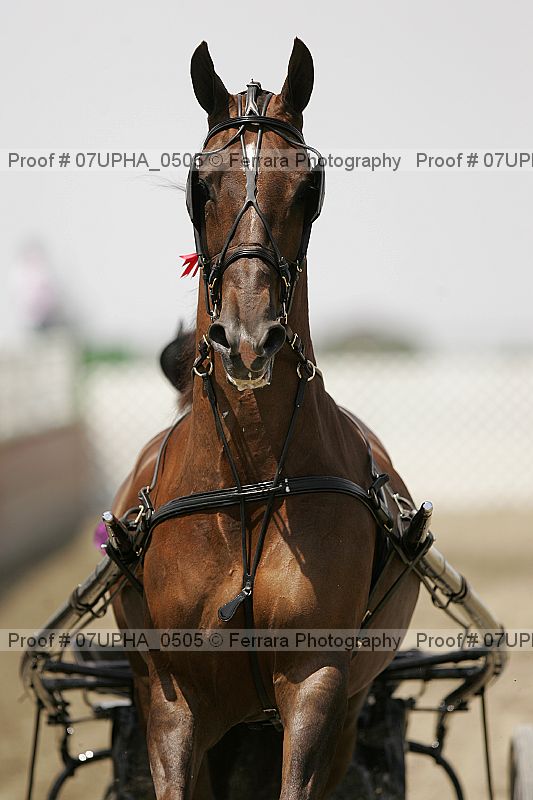 Proof Number 07upha_0505