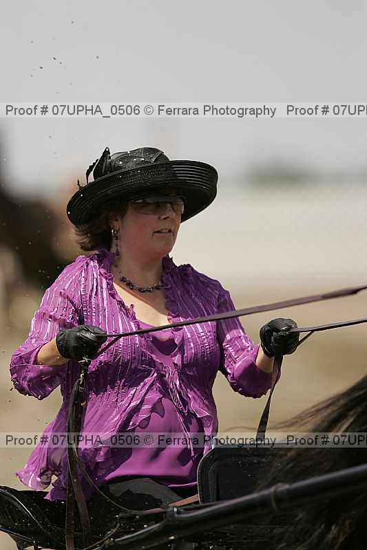 Proof Number 07upha_0506