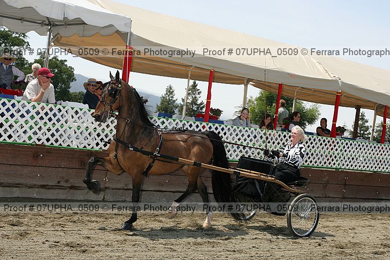 Proof Number 07upha_0509