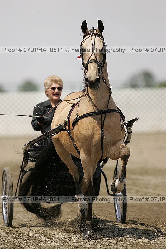 Proof Number 07upha_0511