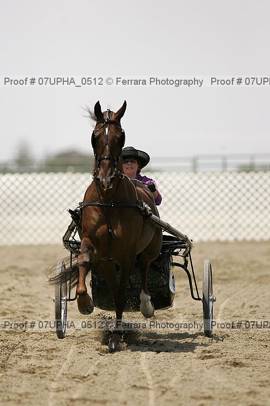 Proof Number 07upha_0512
