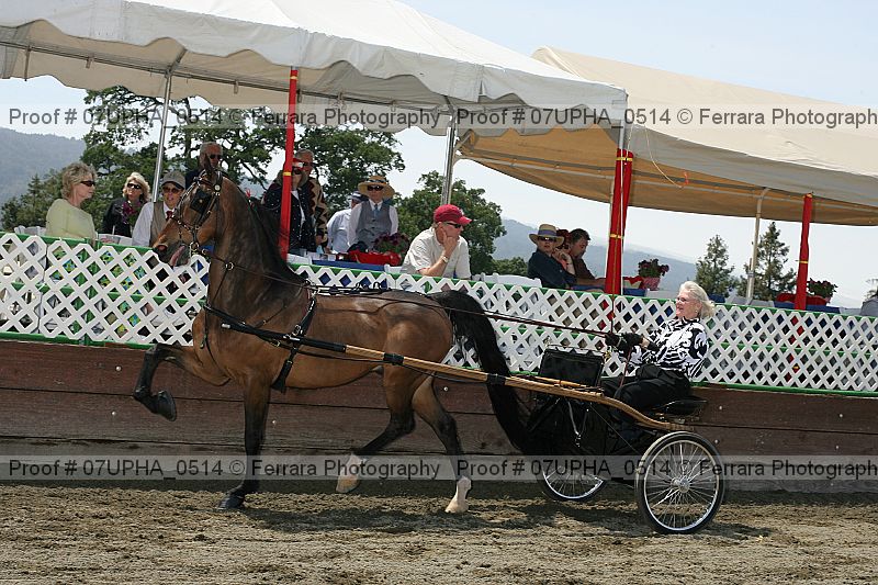 Proof Number 07upha_0514
