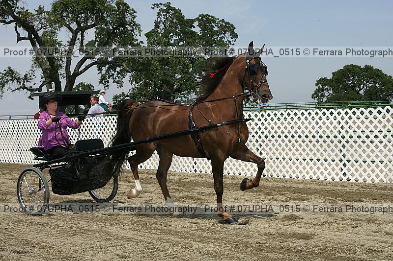 Proof Number 07upha_0515