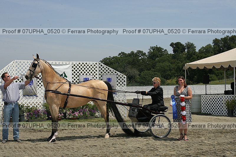 Proof Number 07upha_0520