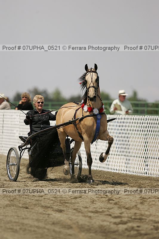 Proof Number 07upha_0521