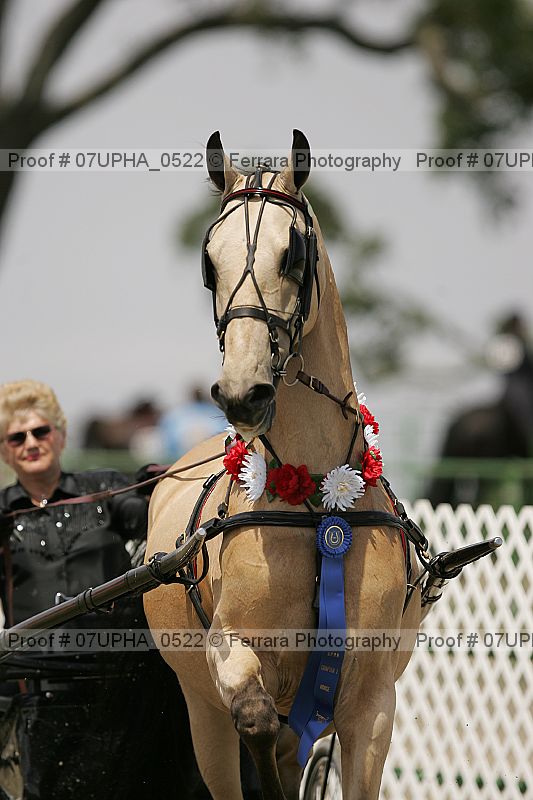 Proof Number 07upha_0522