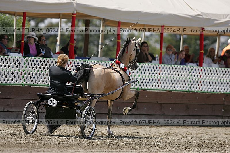 Proof Number 07upha_0524