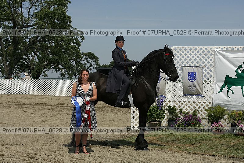 Proof Number 07upha_0528