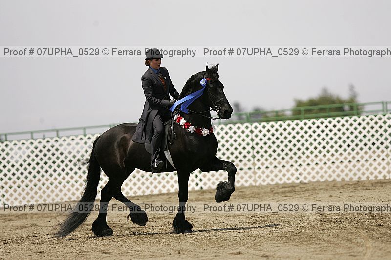 Proof Number 07upha_0529