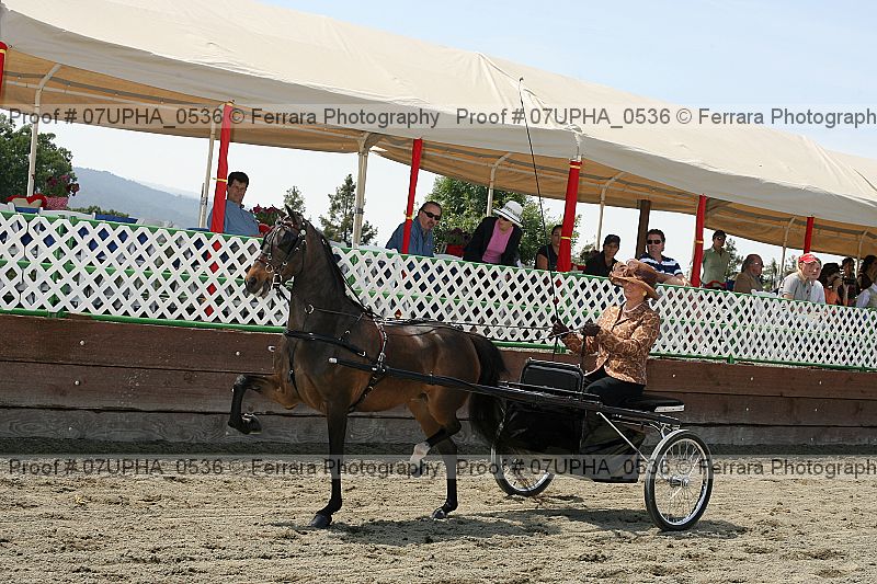 Proof Number 07upha_0536