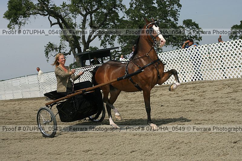 Proof Number 07upha_0549