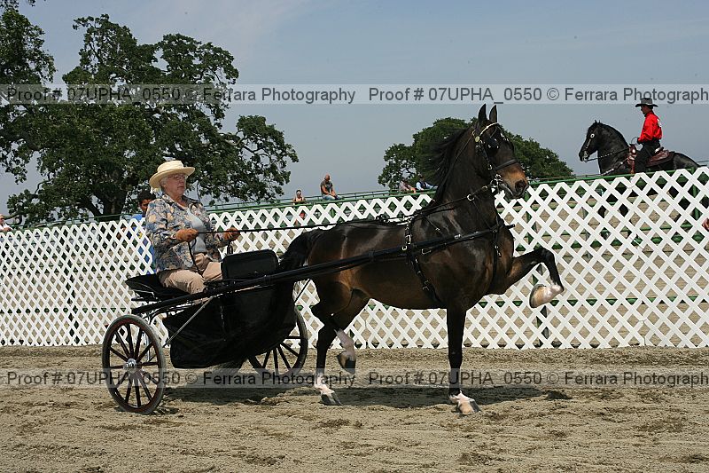 Proof Number 07upha_0550