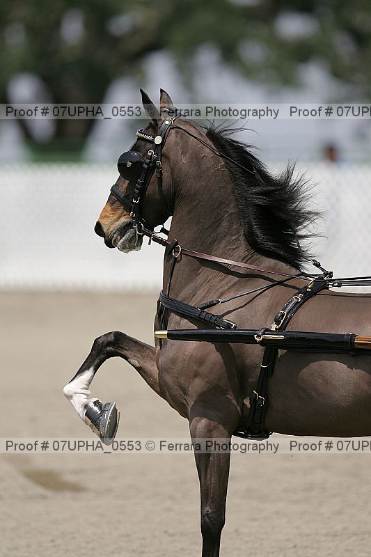 Proof Number 07upha_0553