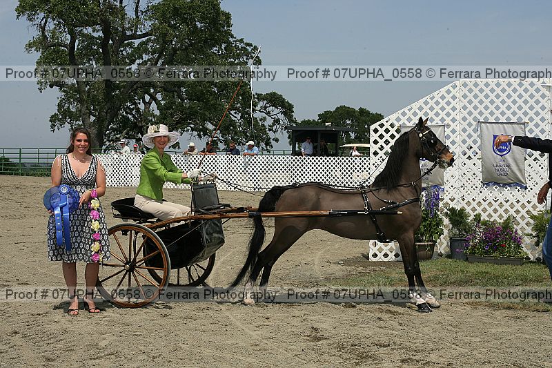 Proof Number 07upha_0558