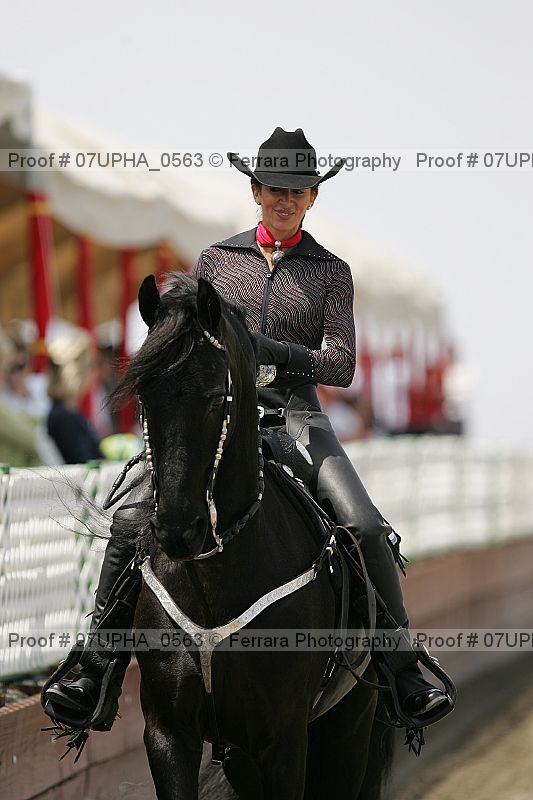 Proof Number 07upha_0563