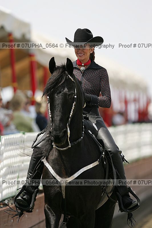 Proof Number 07upha_0564
