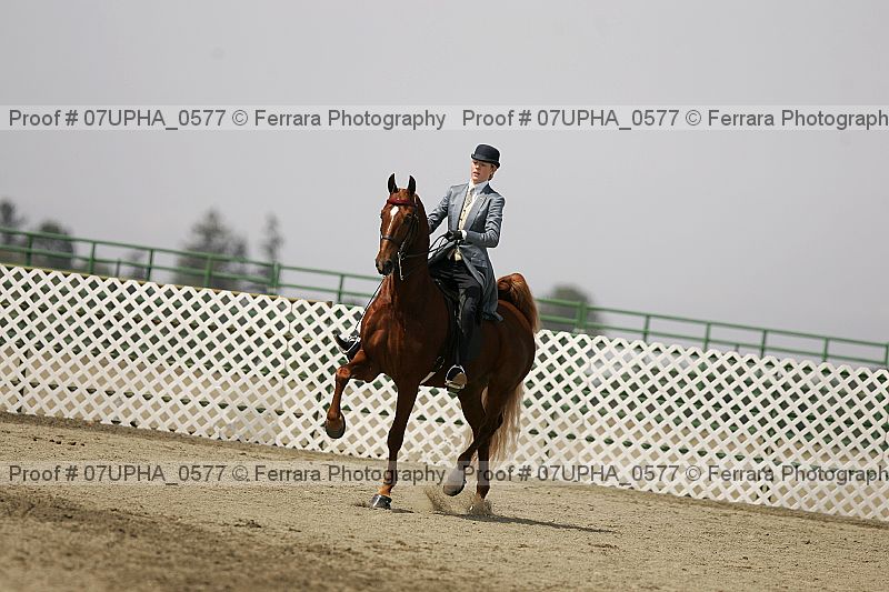 Proof Number 07upha_0577