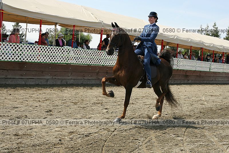Proof Number 07upha_0580