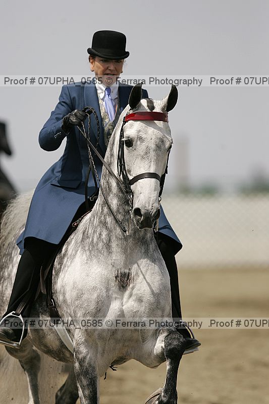 Proof Number 07upha_0585