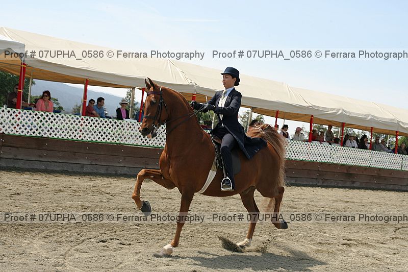 Proof Number 07upha_0586