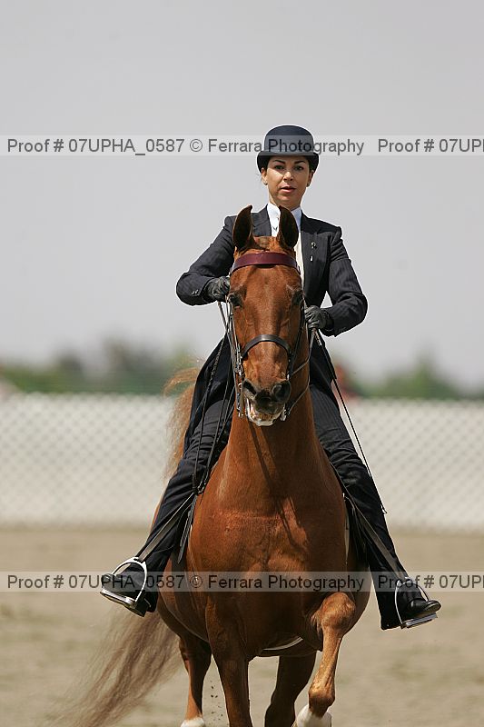 Proof Number 07upha_0587