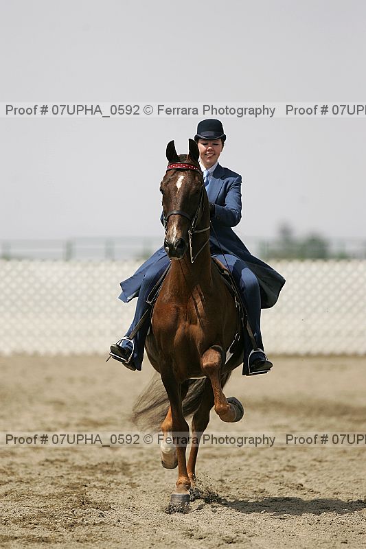 Proof Number 07upha_0592