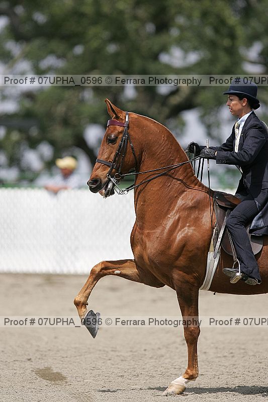 Proof Number 07upha_0596