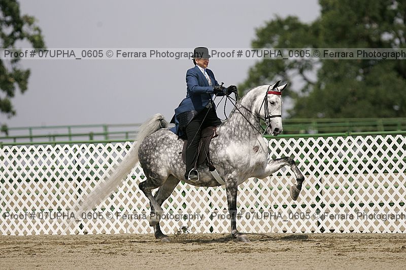 Proof Number 07upha_0605