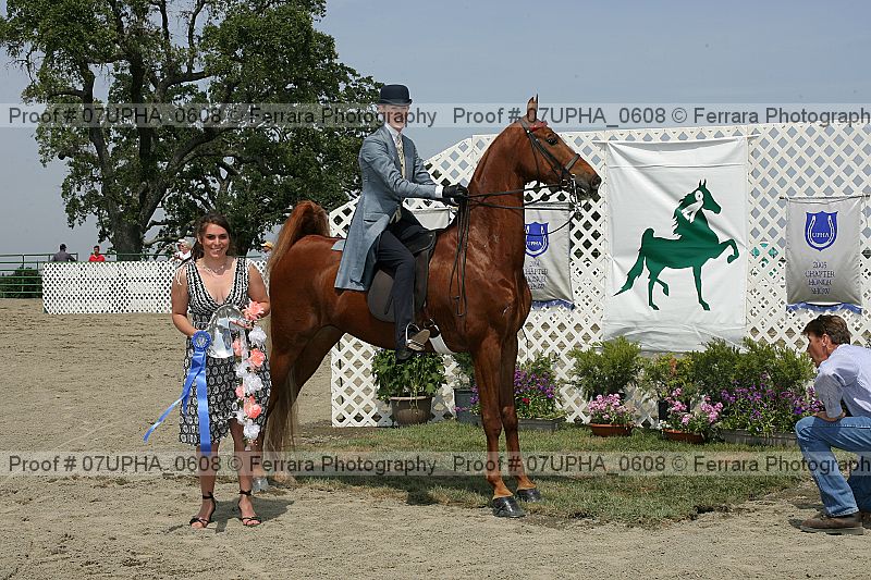Proof Number 07upha_0608