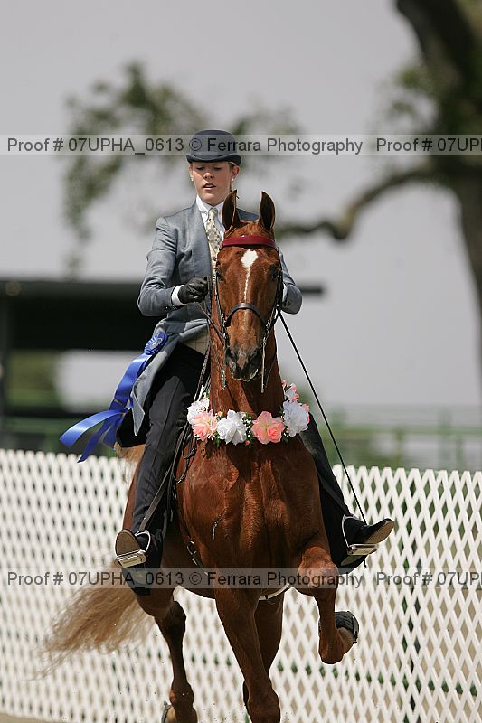 Proof Number 07upha_0613